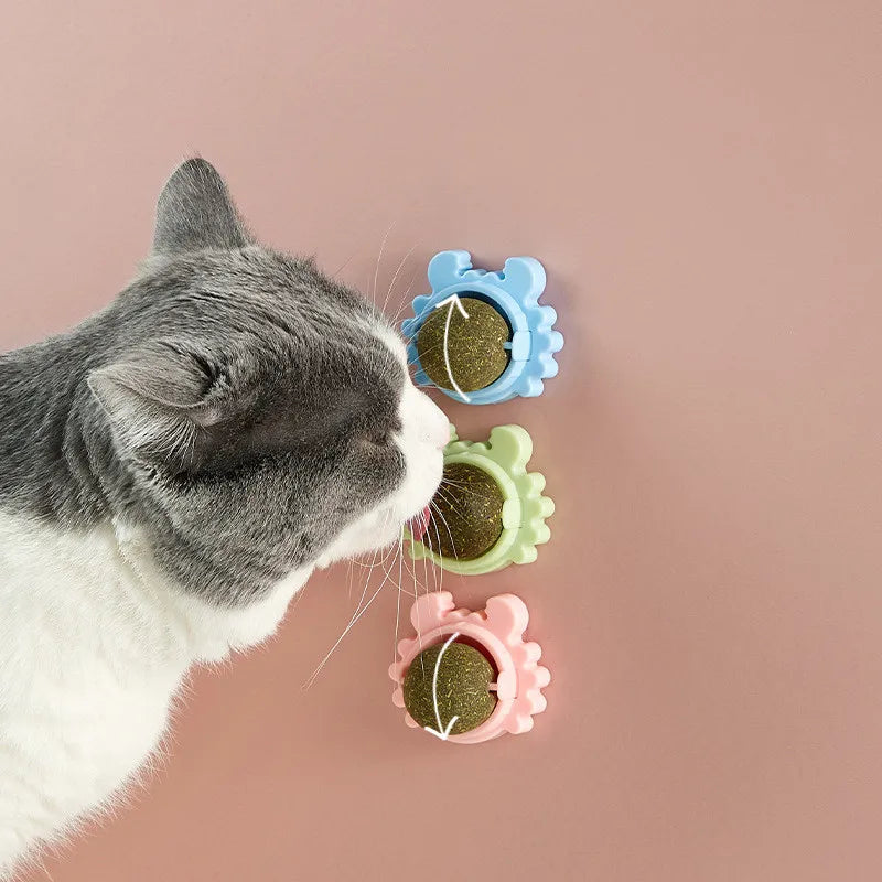 Catnip Play Ball