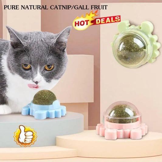 Catnip Play Ball